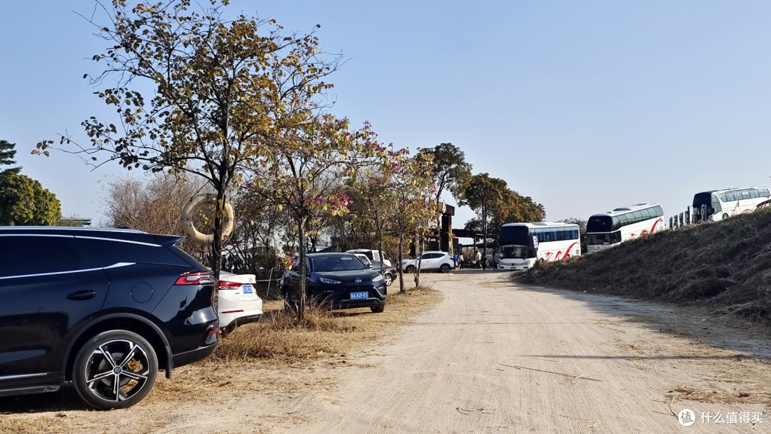 水云天碧沙岛,家乡北江河堤又一新春旅游景点!