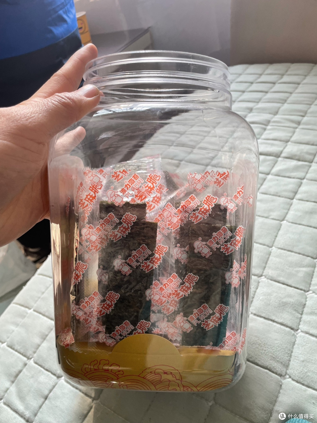 波力海苔