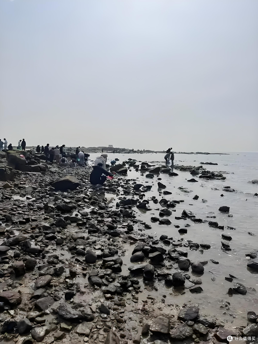 春节看海,体验赶海