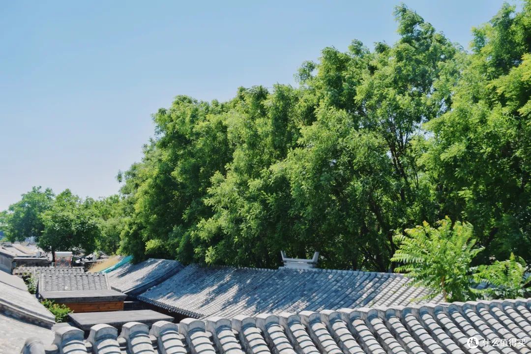 这条京味儿超标的胡同路线，我先逛为敬