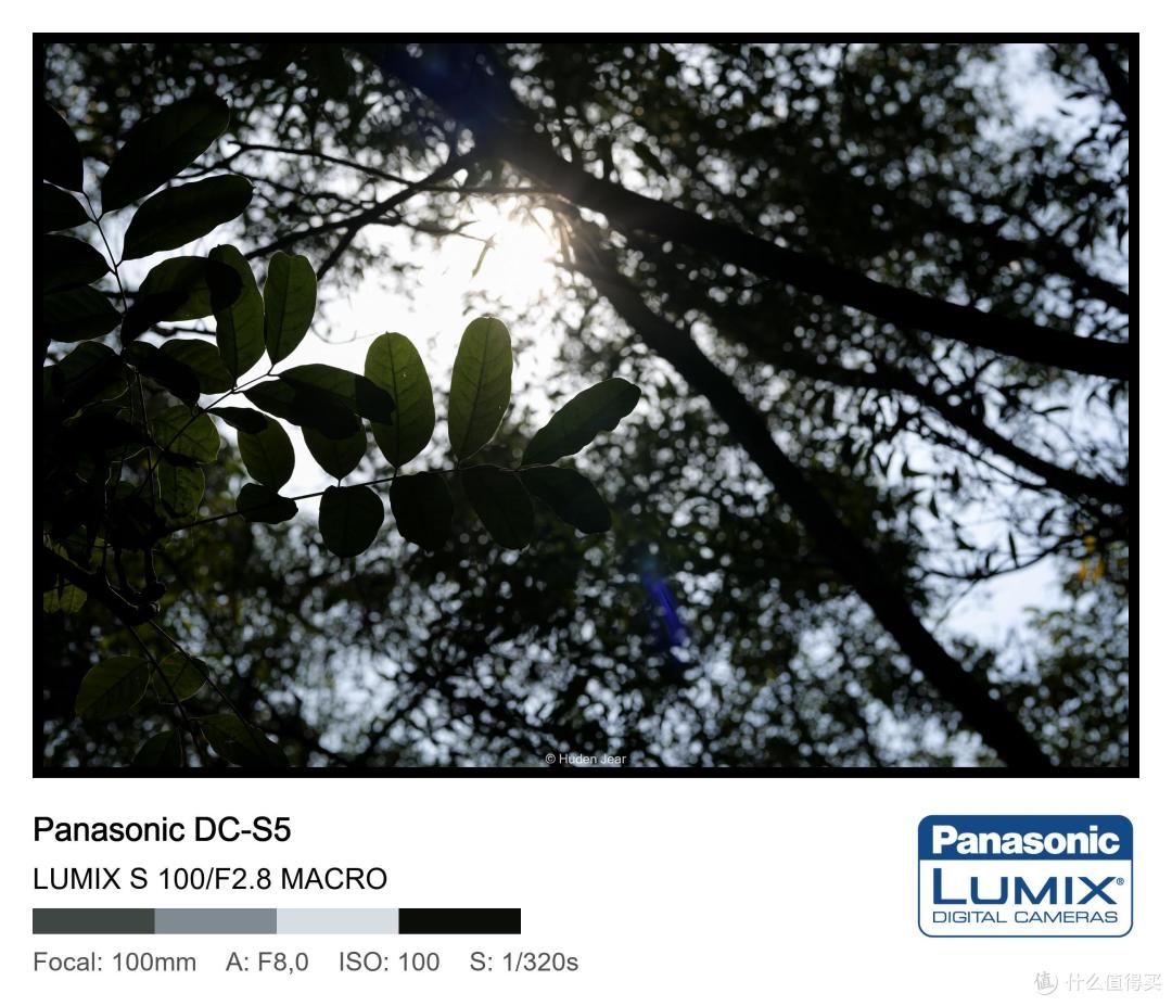 松下Lumix S 100mm F2.8 Macro测评:轻量随身的才是最好的镜头