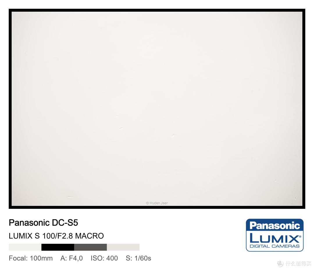 松下Lumix S 100mm F2.8 Macro测评:轻量随身的才是最好的镜头