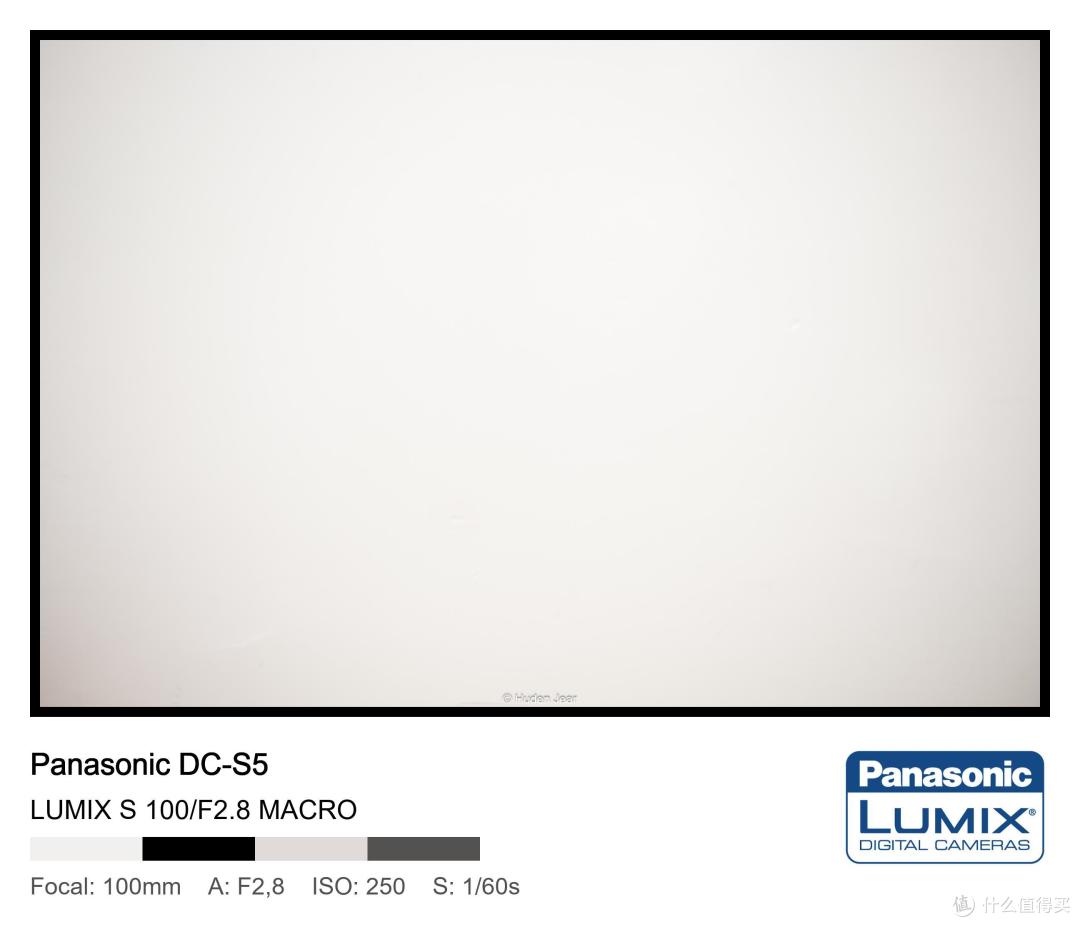 松下Lumix S 100mm F2.8 Macro测评:轻量随身的才是最好的镜头