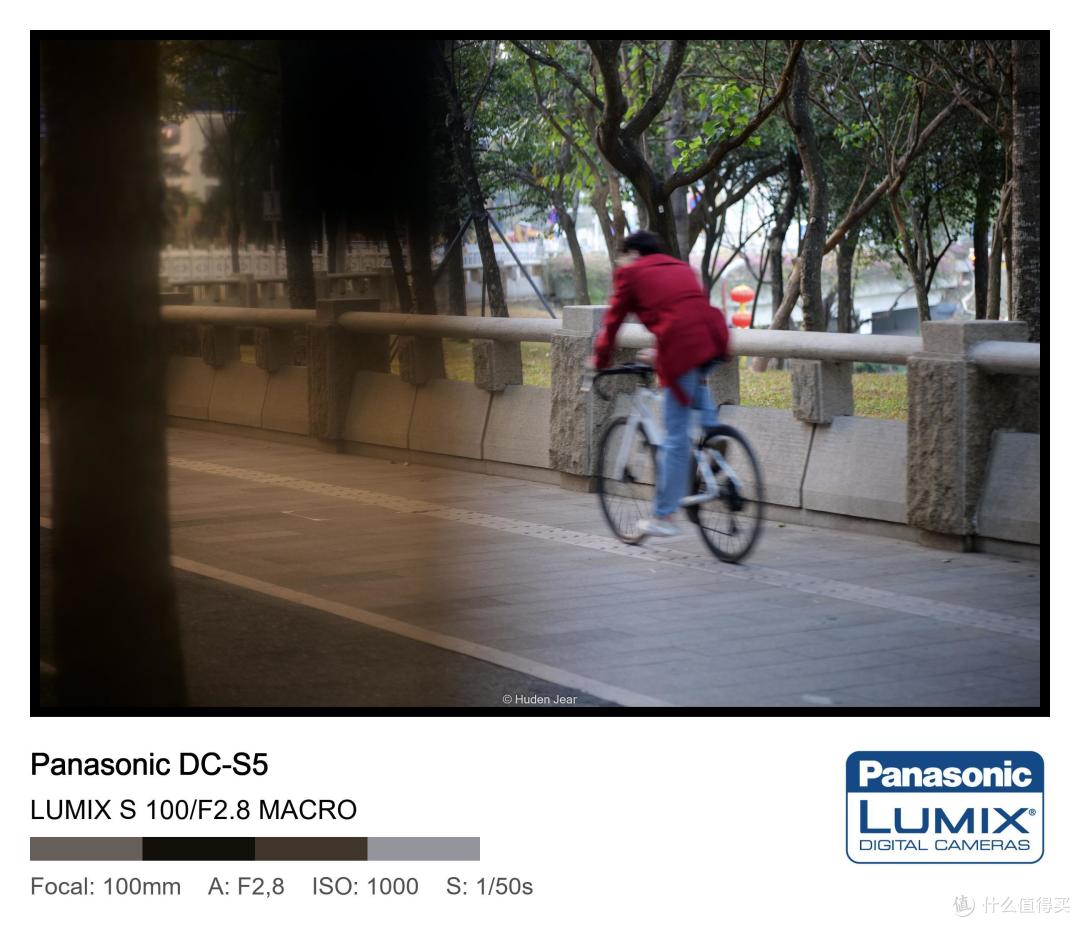 松下Lumix S 100mm F2.8 Macro测评:轻量随身的才是最好的镜头