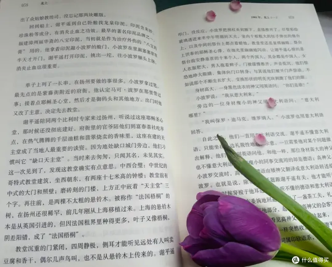 《北上》:大运河的千年水波里,流淌着中国人的命运长诗