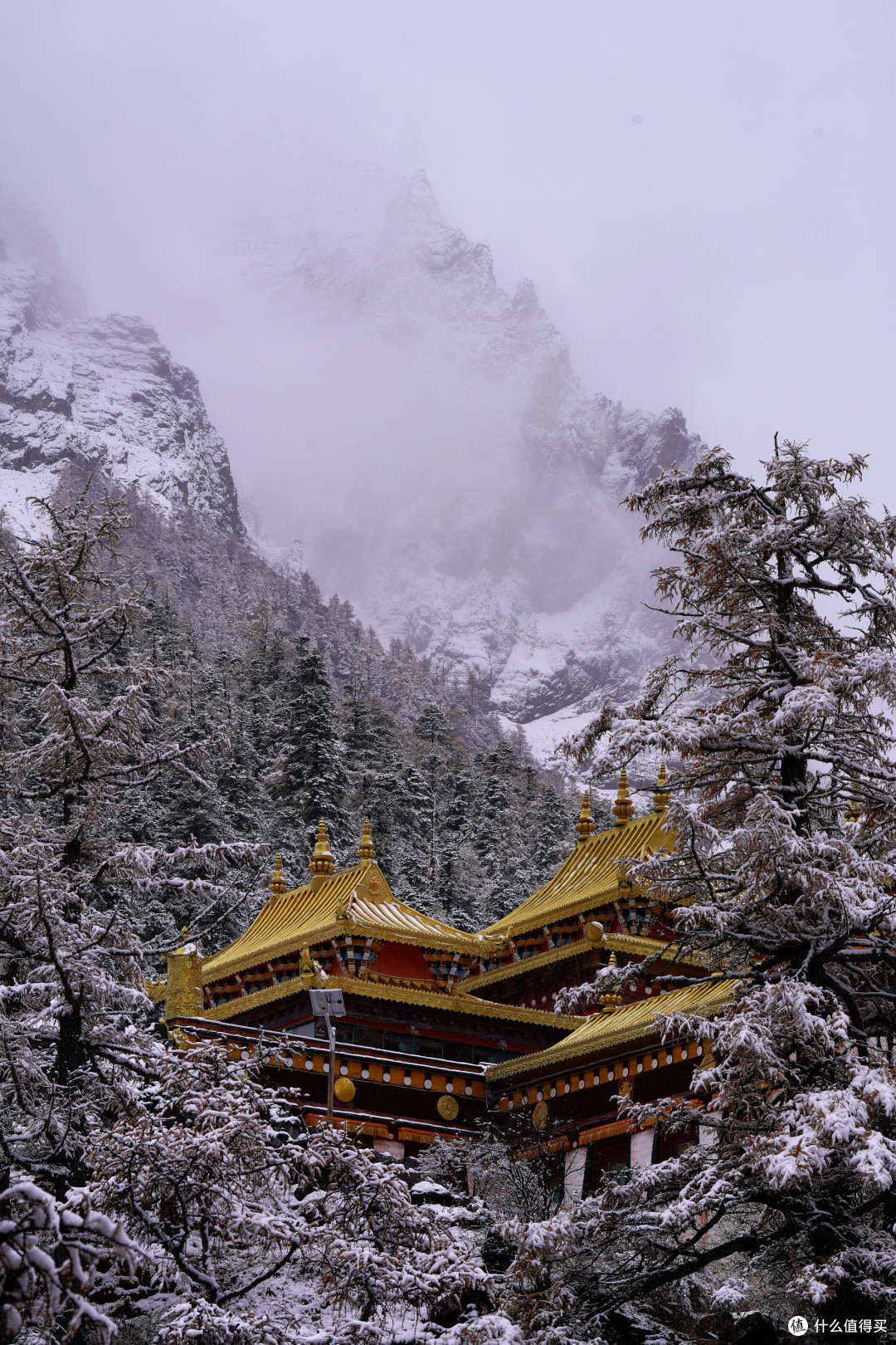 101天川滇藏大环线！Day2️⃣9⃣：雪中游稻城亚丁，宿扎西空墅