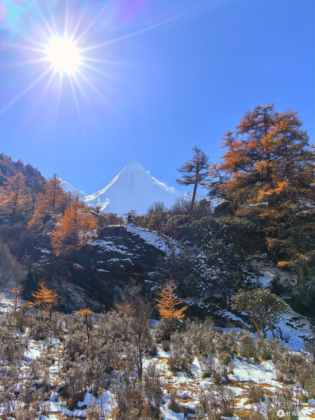 101天川滇藏大环线！Day2️⃣9⃣：雪中游稻城亚丁，宿扎西空墅