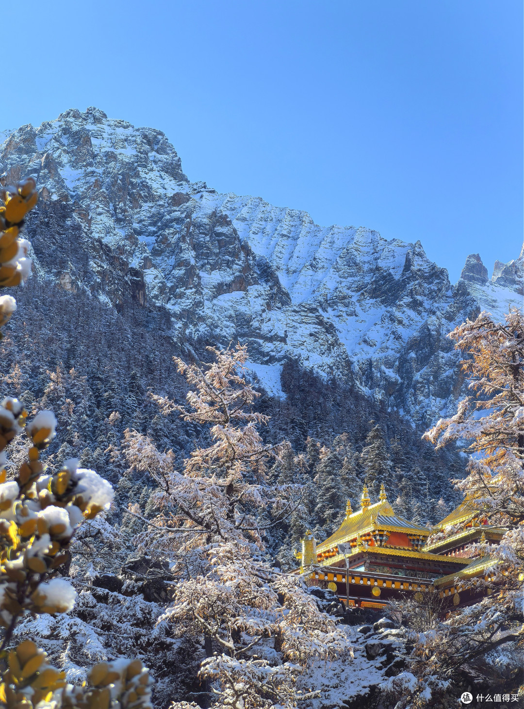 101天川滇藏大环线！Day2️⃣9⃣：雪中游稻城亚丁，宿扎西空墅