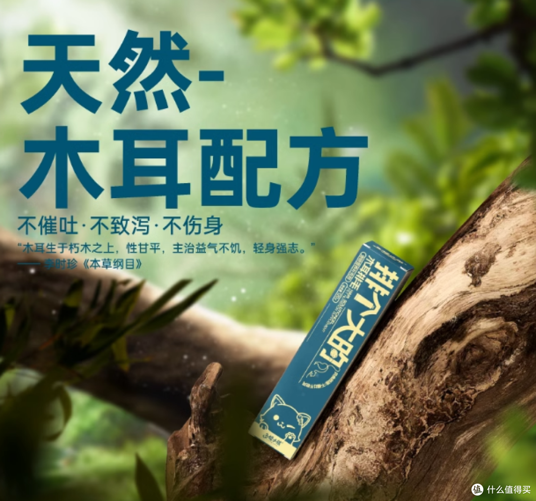 铲屎官必看!幼猫成长 “秘密武器”