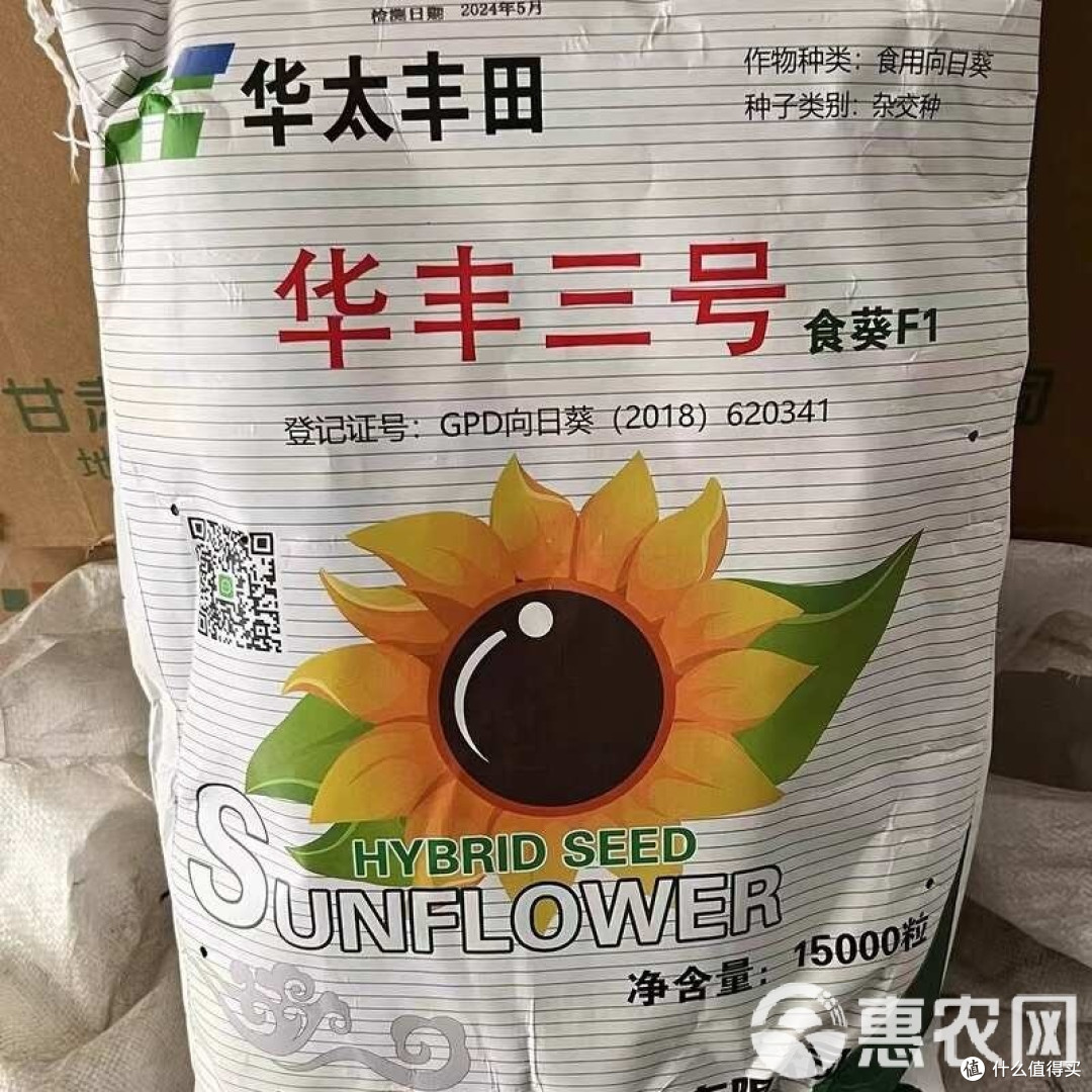 适合东北吉林辽宁种植的向日葵种子363系列361系列葵花品种 适合东北吉林辽宁种植的向日葵种子363系列361系列葵花品种