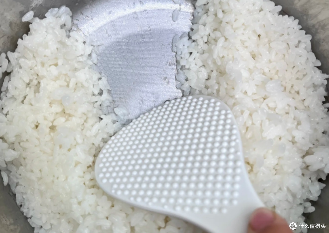 选购攻略一台好用的电饭煲应该怎么选?上千块的电饭煲是智商税吗