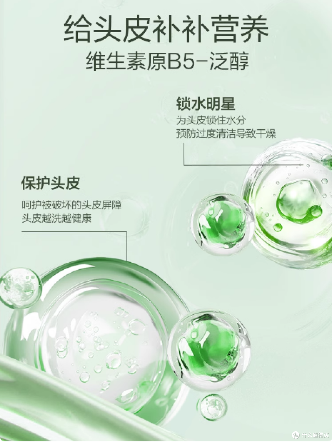 道夫天然香氛植物去屑控油洗护,开启头皮健康新体验