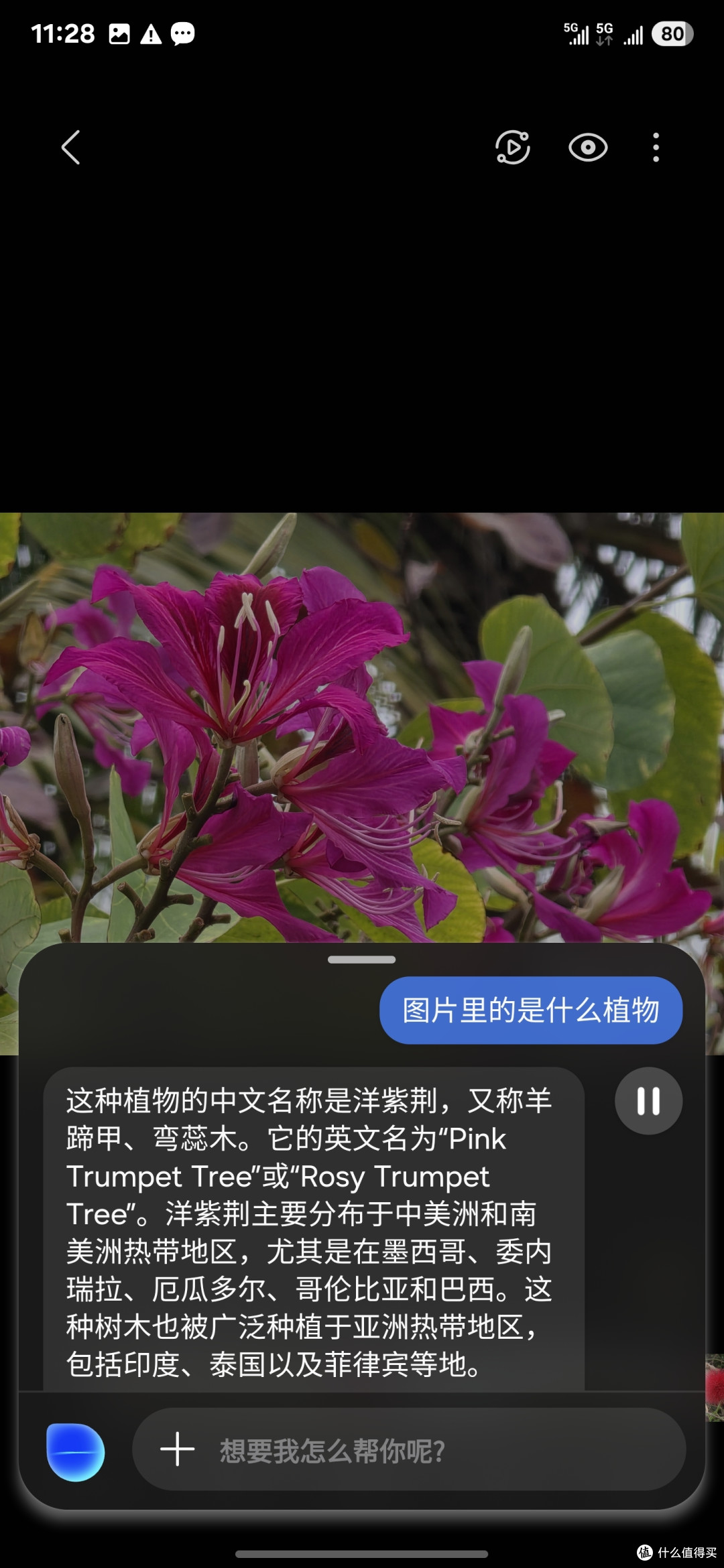 三星S25 Ultra深度评测：颜值抗打，AI加持影像真的强！