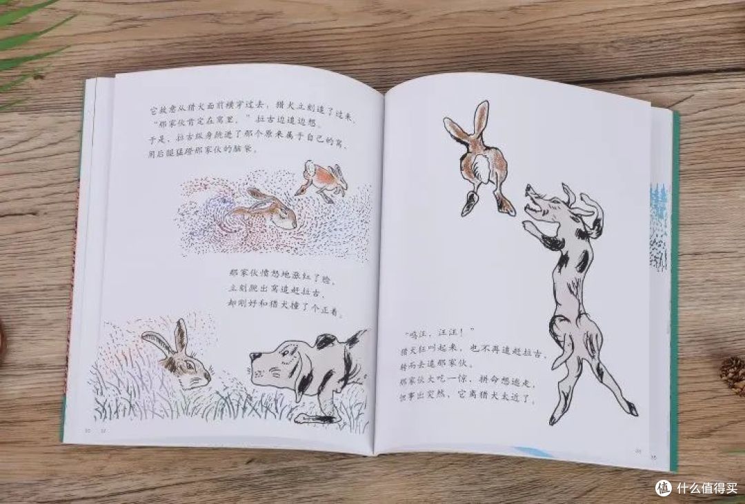 真希望每个孩子都能读到这个故事