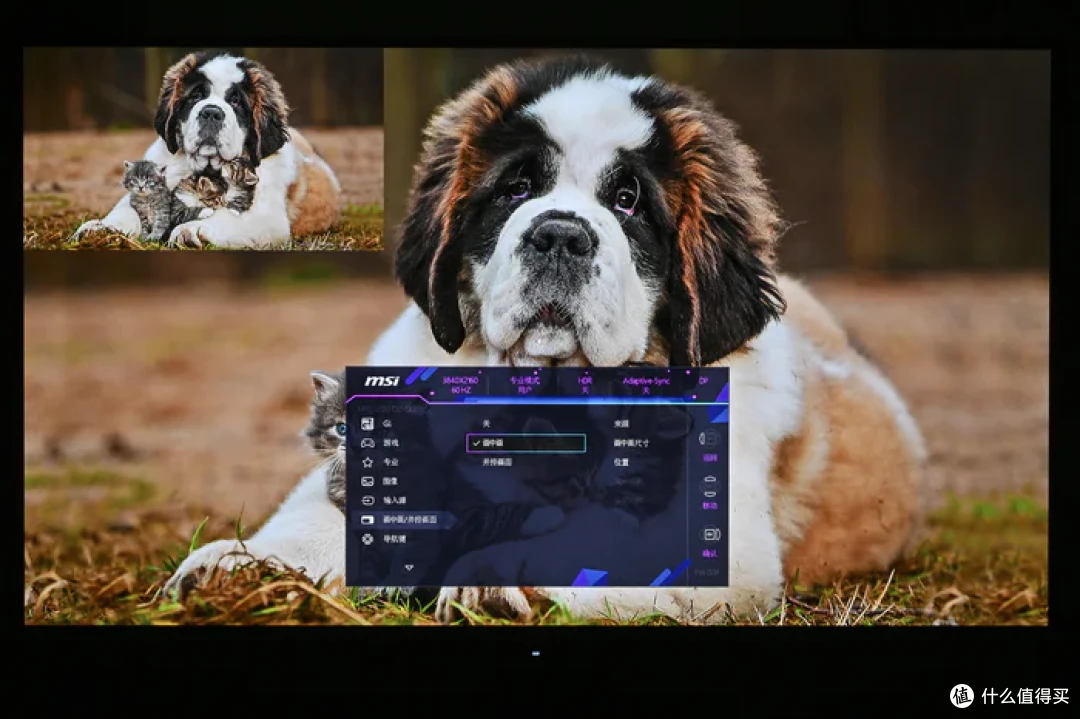 4K 240Hz DP2.1 高刷——微星 MPG 322URX QD-OLED 流光开箱简测