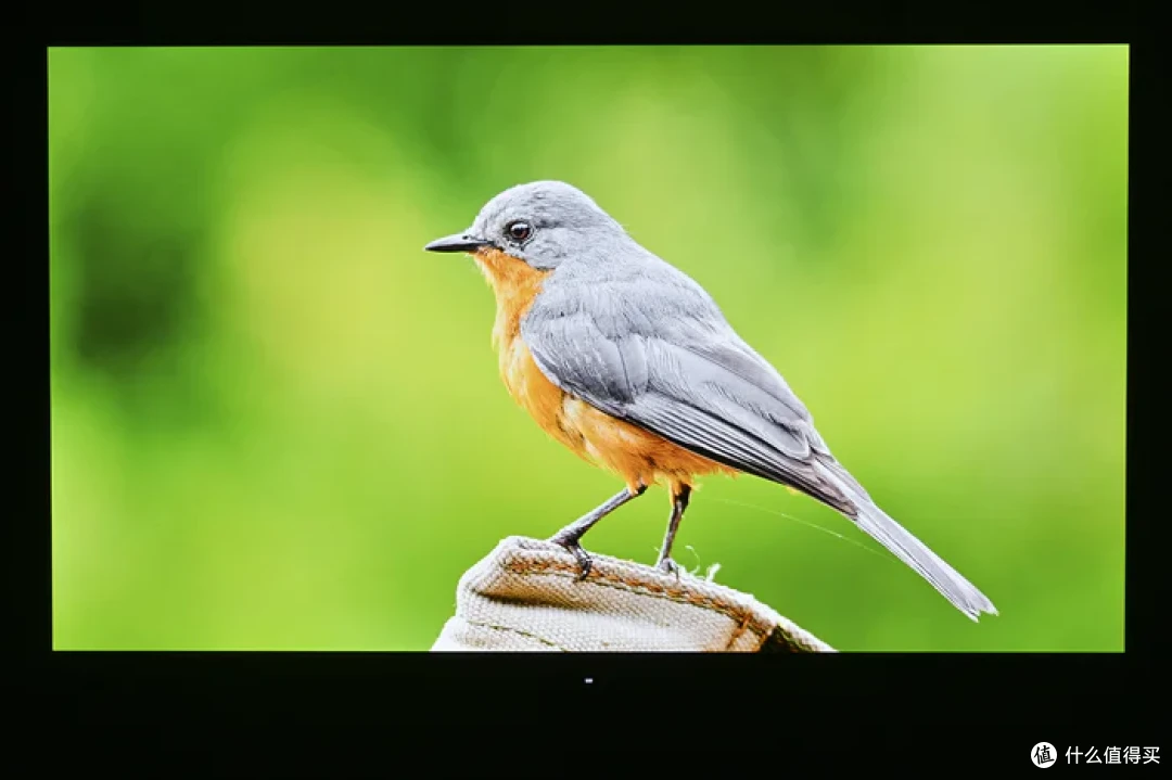 4K 240Hz DP2.1 高刷——微星 MPG 322URX QD-OLED 流光开箱简测