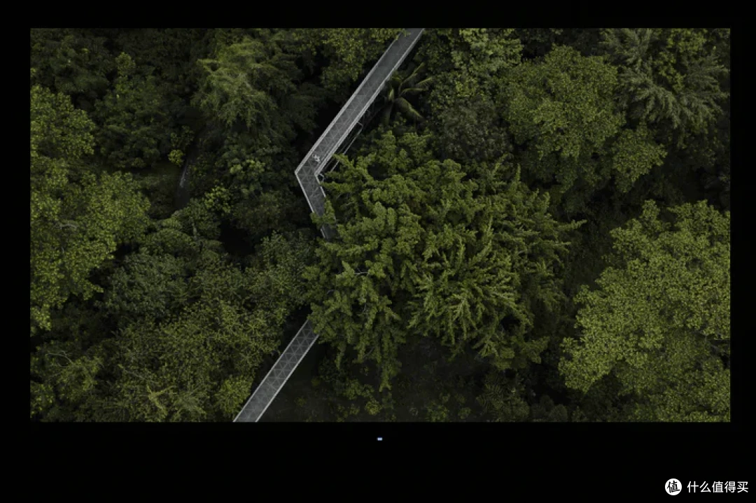 4K 240Hz DP2.1 高刷——微星 MPG 322URX QD-OLED 流光开箱简测