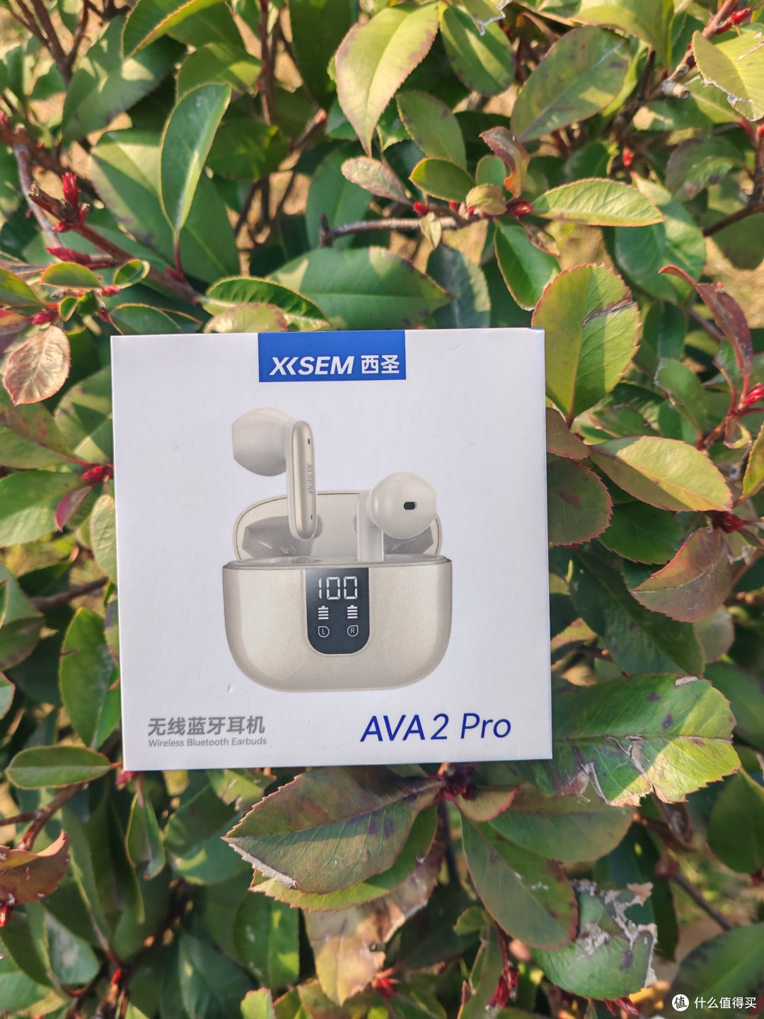 学生党上班族闭眼入！西圣AVA2Pro半入耳降噪蓝牙耳机