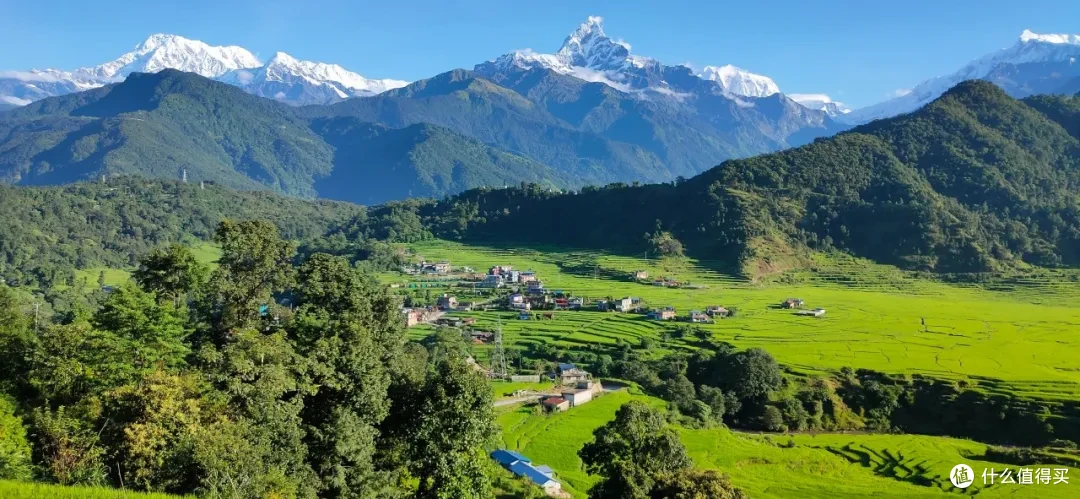 Photo by Nirajan Dhakal on Unsplash