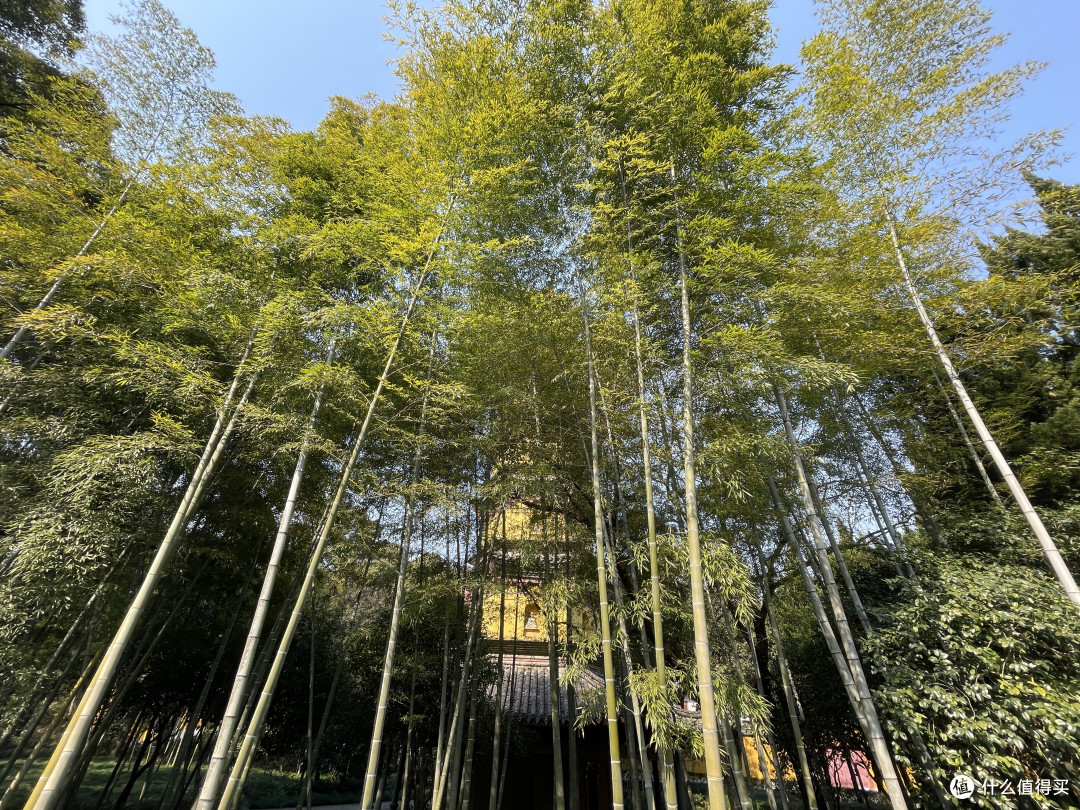 宁波阿育王寺游记
