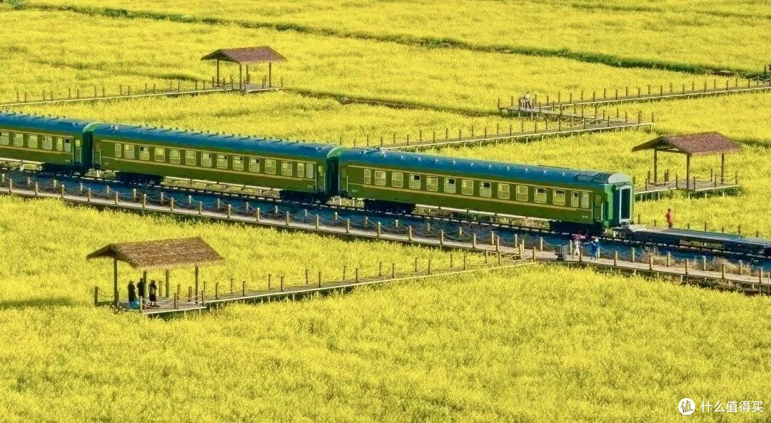 最全昆明周边油菜花观赏攻略
