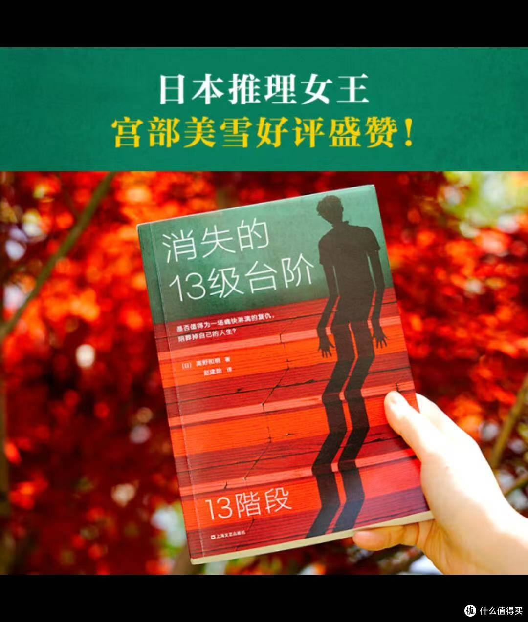 《消失的13级台阶》:司法与人性的深刻探讨