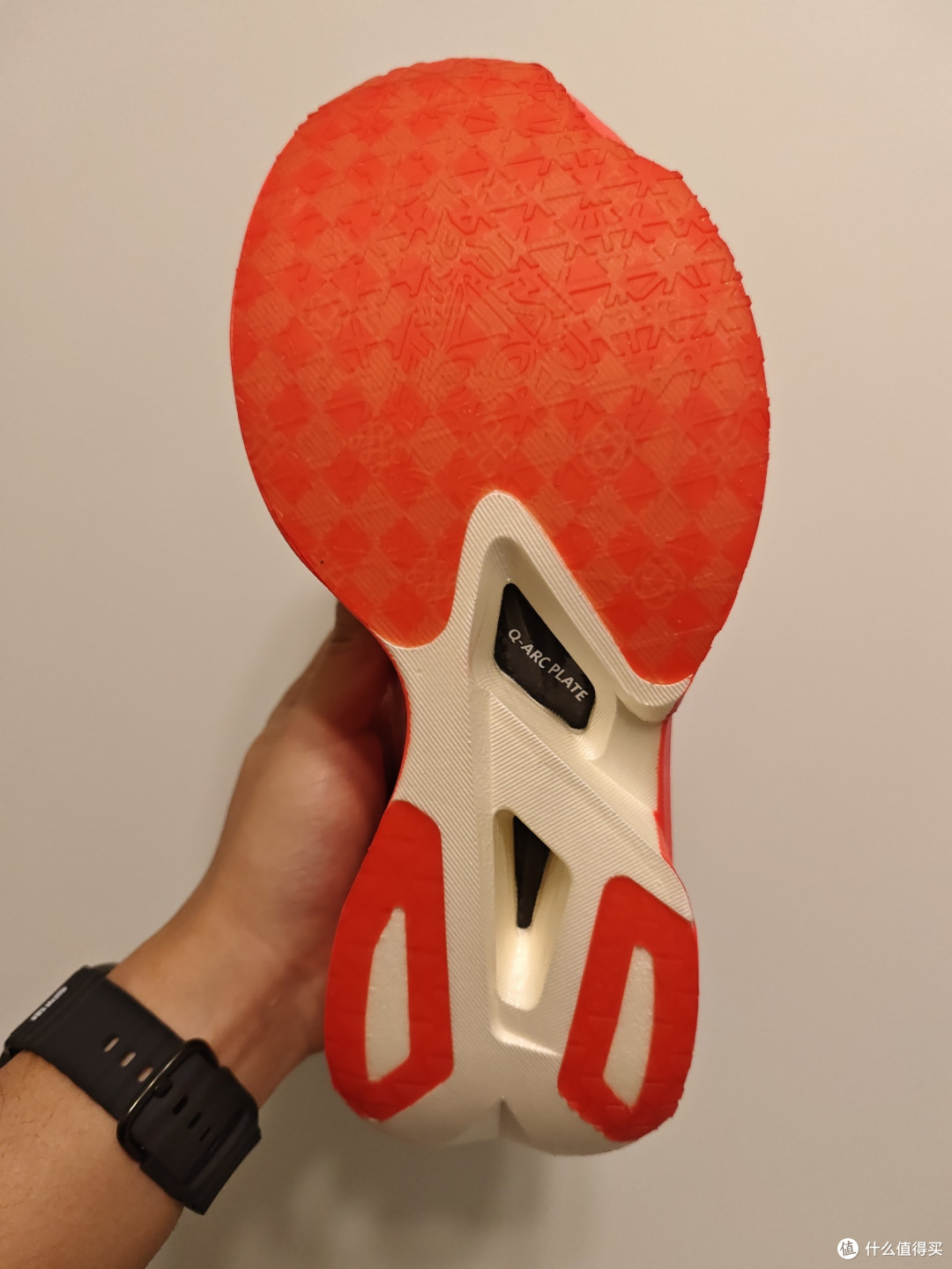 中乔家顶碳和次顶碳雌雄难辨❓不存在的❗
