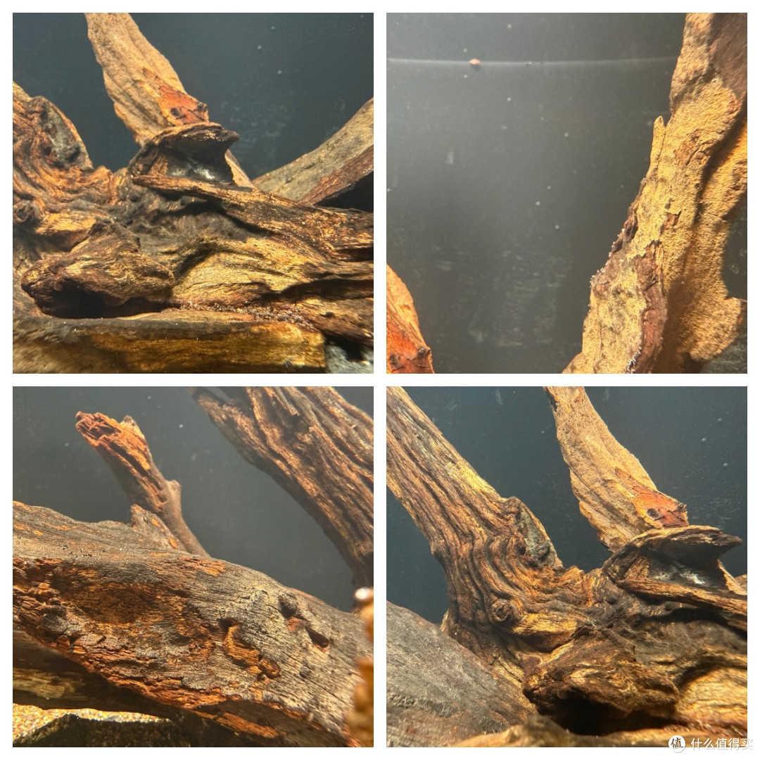 当贝智能鱼缸布景,选择沉木骨架以及种植水草