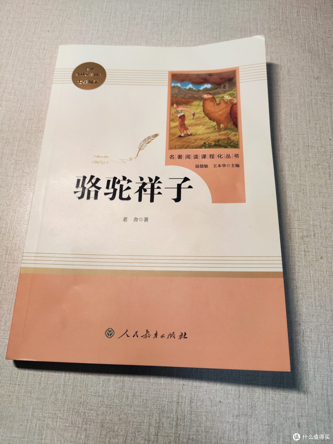 黑暗社会中人性的悲歌——《骆驼祥子》