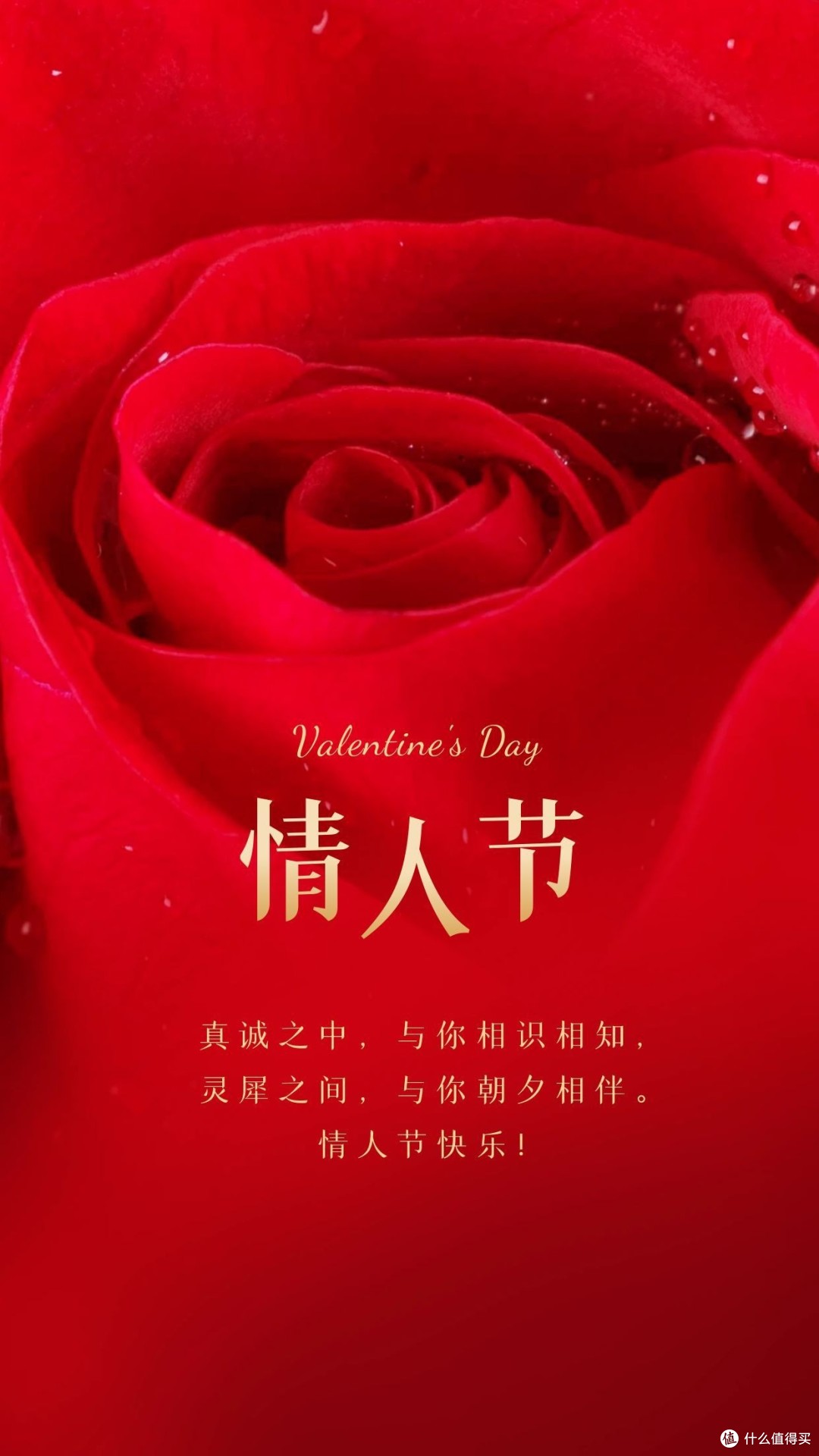 探秘2月14情人节的来源