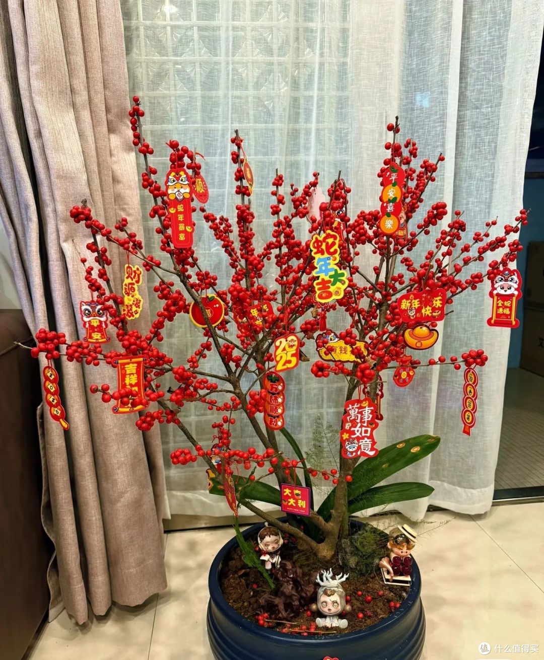 养花20年,发现10种花“又贵又难养”,别在养了,白花钱还闹心