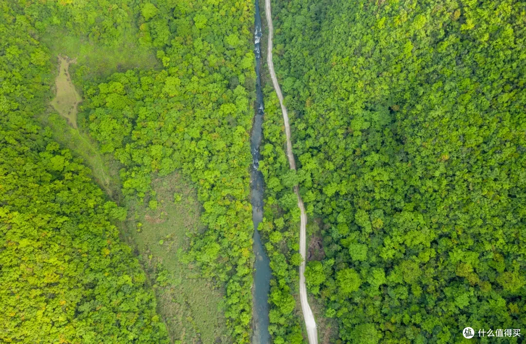 这4条藏在山山水水里的自驾线,抓紧了春天的流量密码!