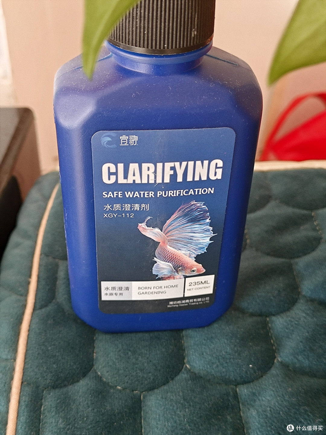 避雷！水族箱不要乱买，适合的很重要。