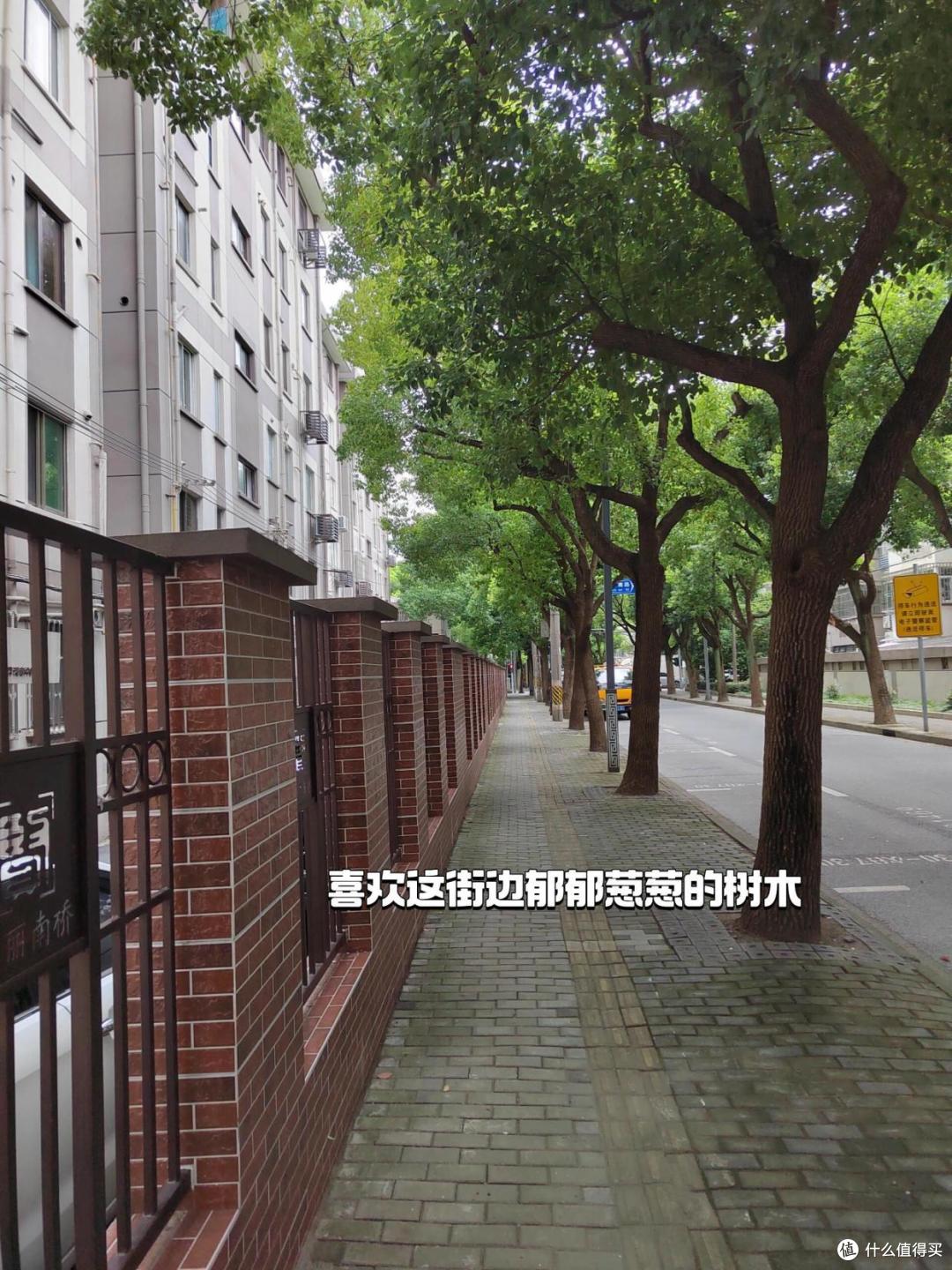 拆迁全面叫停?已明确:2025年后,楼龄超过20年的房子,这样处理