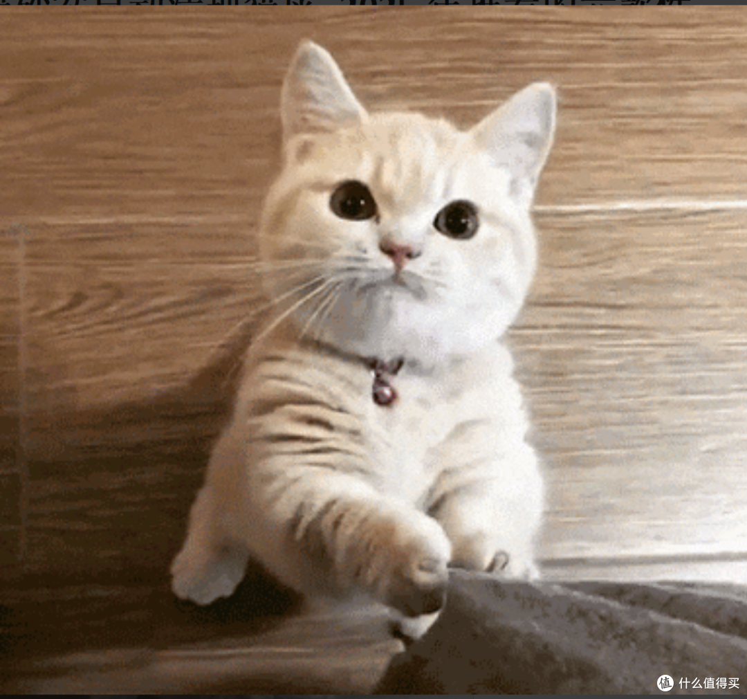 猫砂盆自动清理猫屎,2025年推荐的六款性价比高的猫砂盆一览!