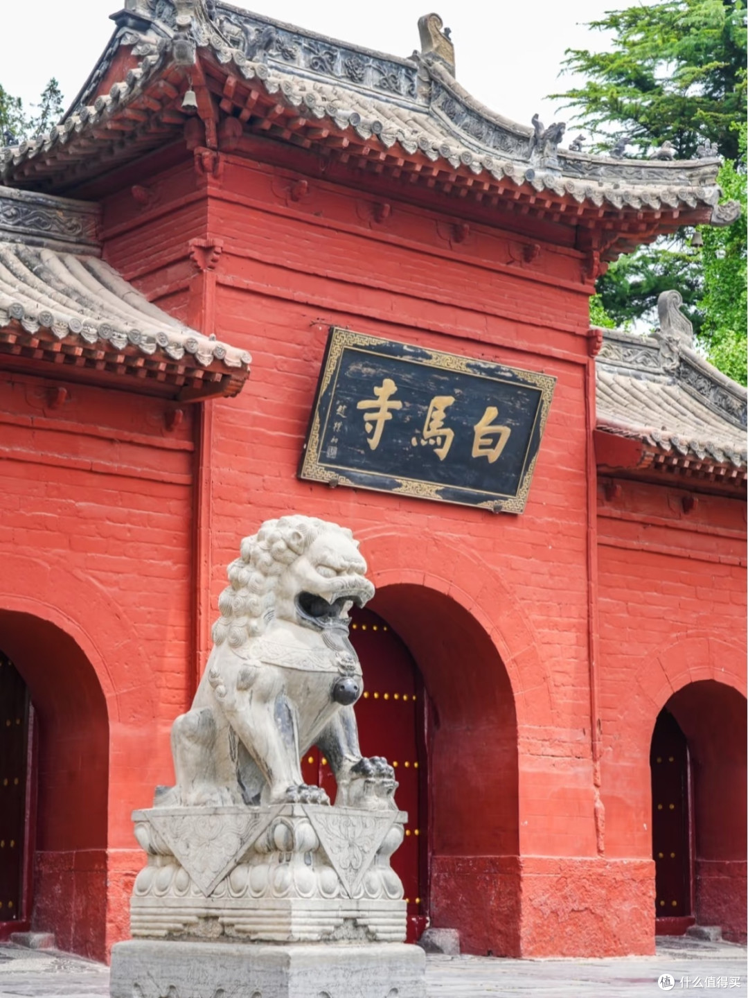 错峰奔赴洛阳,解锁十三朝古都的隐秘角落