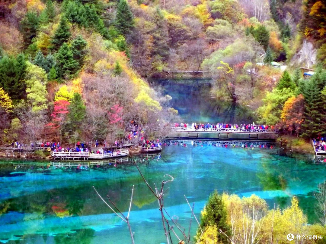 我的宝藏旅游目的地,四川九寨沟必须排第一位。
