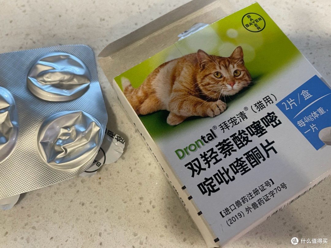 【八年铲屎官强推】拜宠清:守护猫咪健康的驱虫必备神器!💊