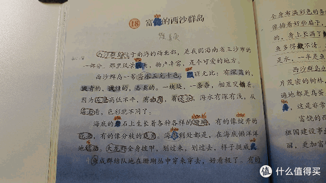 「多场景深度测评」阿尔法蛋高速词典笔D1 Pro