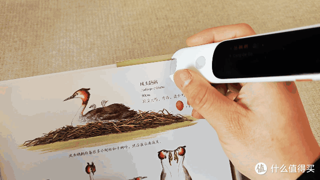 「多场景深度测评」阿尔法蛋高速词典笔D1 Pro