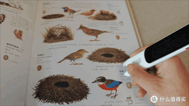 「多场景深度测评」阿尔法蛋高速词典笔D1 Pro
