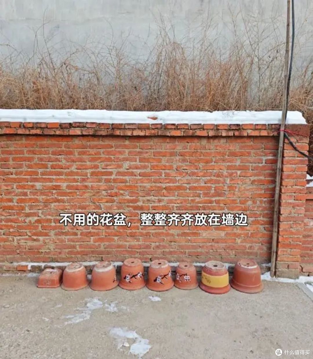 有一个好婆婆是什么体验?像是生活里的一束光,离婚都离不开她!