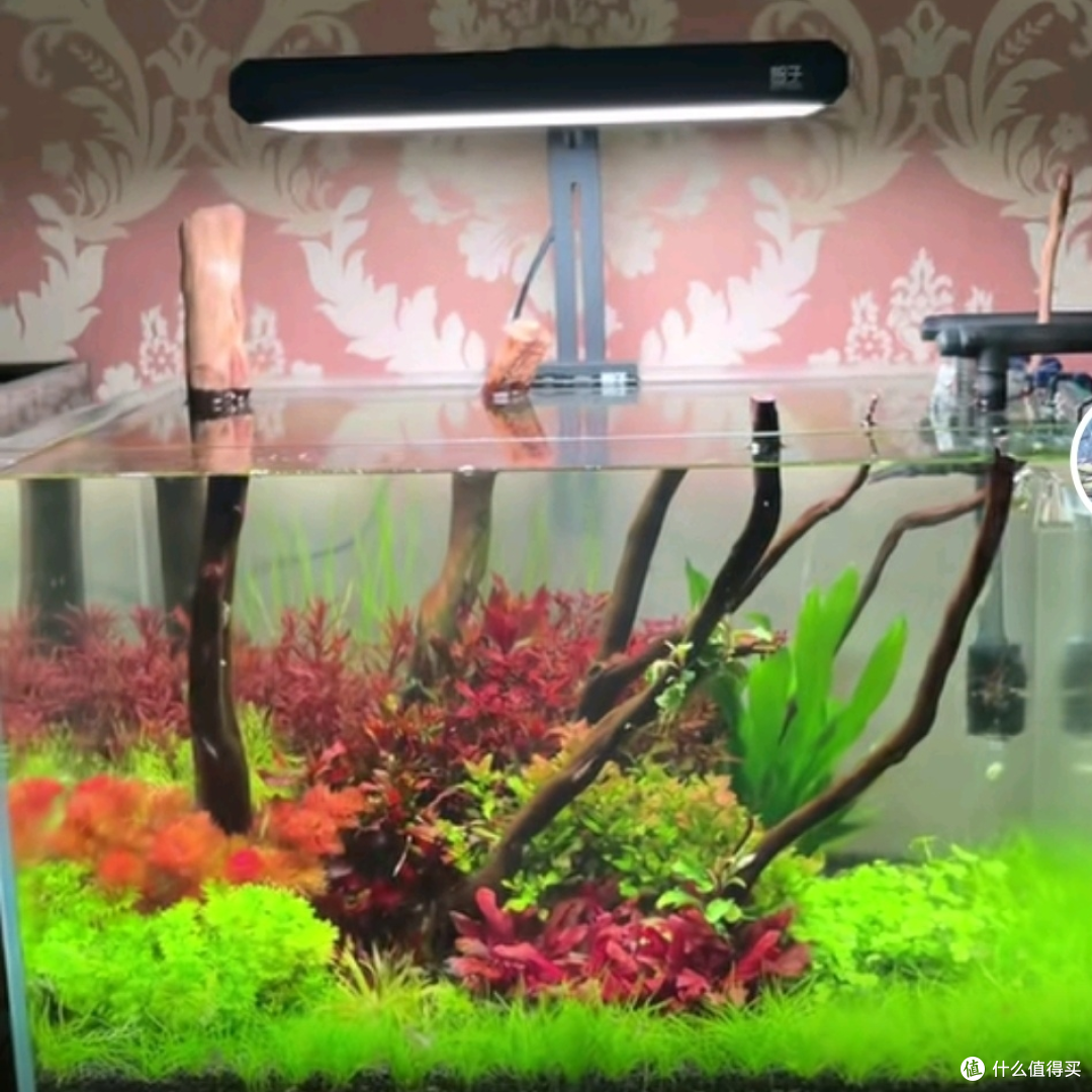自然模式使用一个月效果