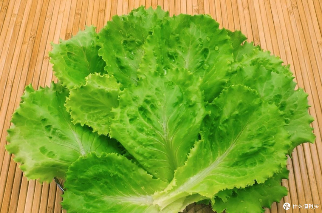 多吃生菜对帕友人群有帮助么?