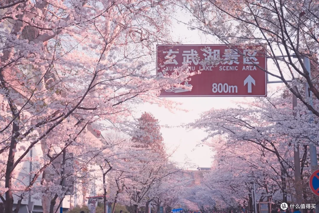 逄康博/图虫创意