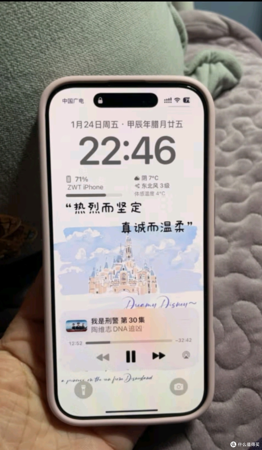 Apple/苹果 iPhone 16 Pro(A3294)256GB 白色钛金属