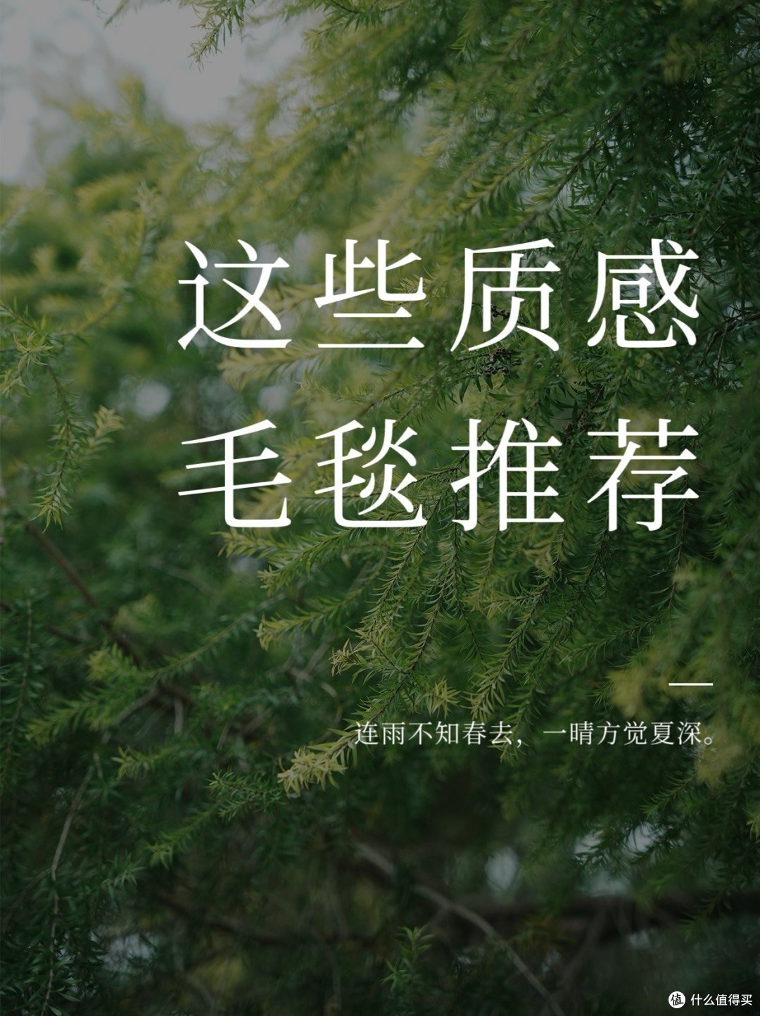 这些质感毛毯推荐:温暖你的每一个瞬间