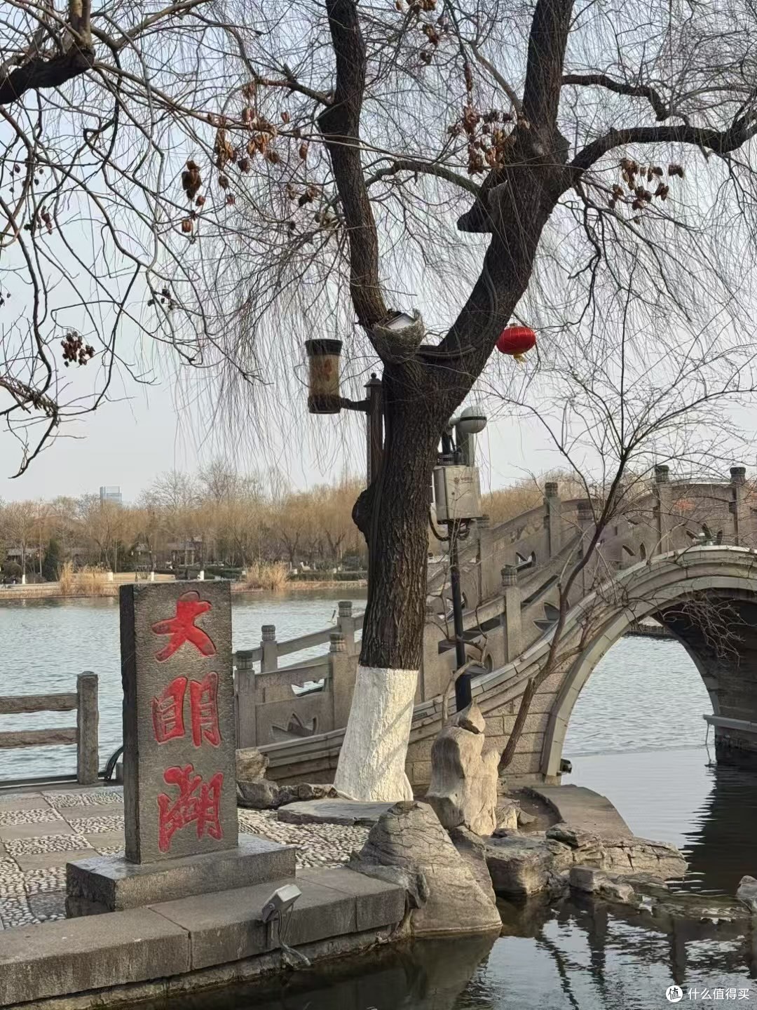 还记得大明湖畔的夏雨荷嘛?!
