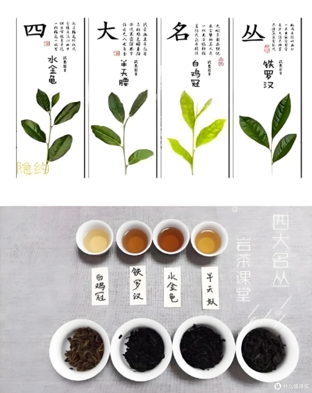 老字号神茶;集泉茶庄龙雀特选铁罗汉