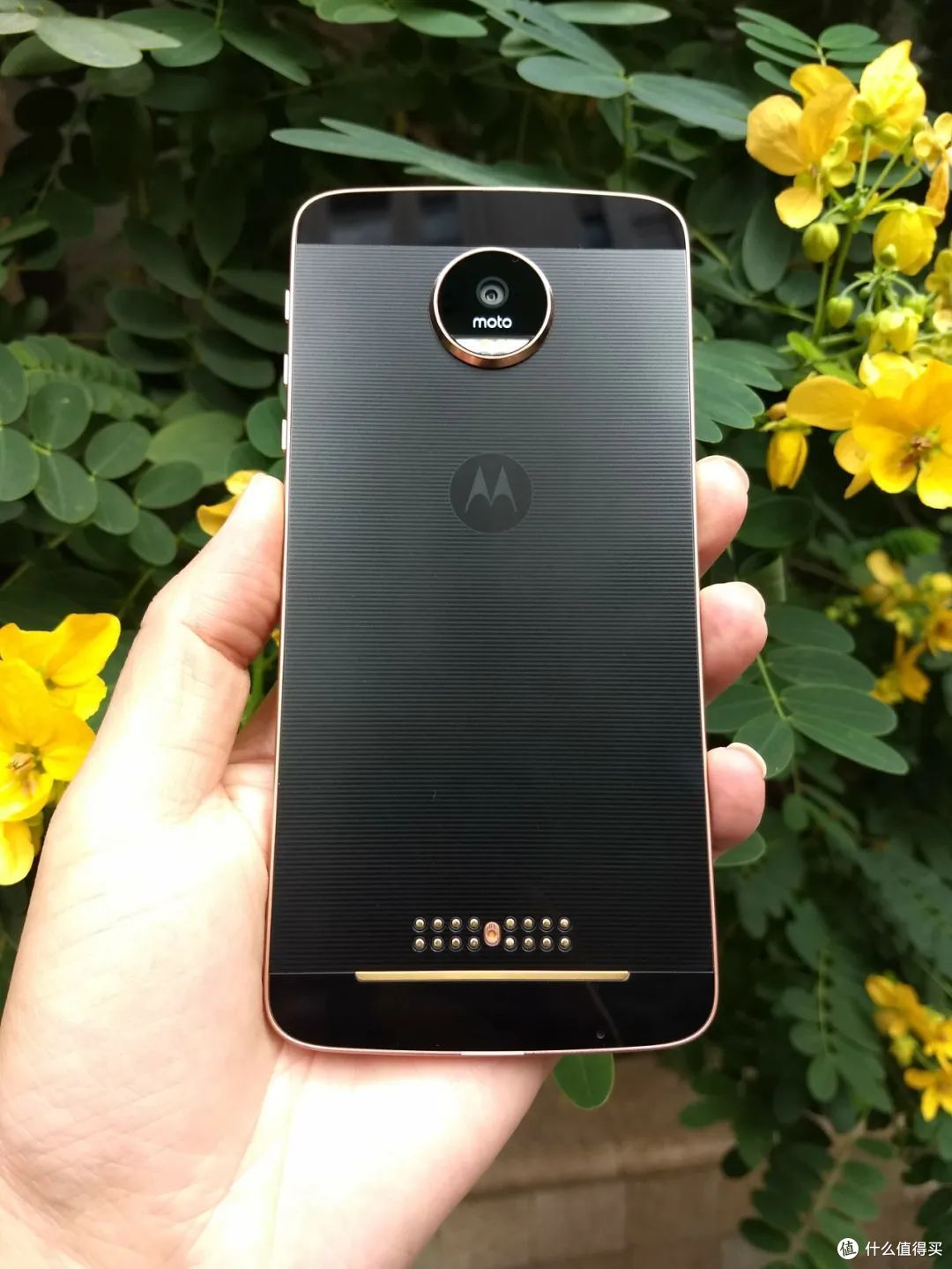 外接哈苏相机的moto z，还有全新库存机，二手要小几百